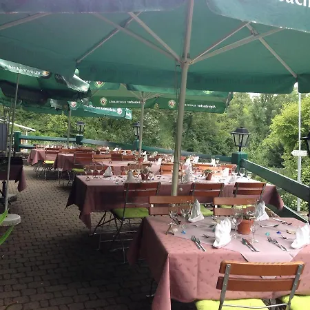 ホテル Wasserstelz Historisches Genusshotel & Restaurant Am Rhein 3*