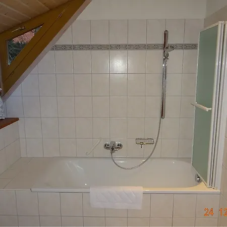 ホテル Wasserstelz Historisches Genusshotel & Restaurant Am Rhein 3*