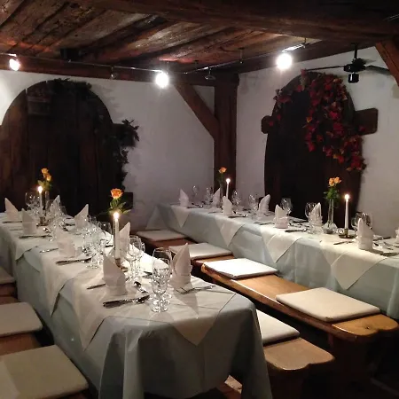 Wasserstelz Historisches Genusshotel & Restaurant Am Rhein 3* Hohentengen am Hochrhein